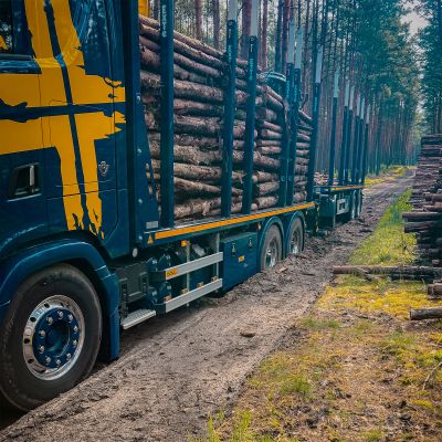 Camion bleu avec remorque à plate-forme DOLL transportant de gros troncs d'arbres sur une route forestière, démontrant sa capacité de chargement et son efficacité.
