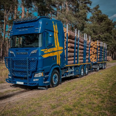 Camion bleu avec remorque à plate-forme DOLL transportant de gros troncs d'arbres sur une route de campagne ensoleillée, démontrant sa capacité de chargement et son efficacité.