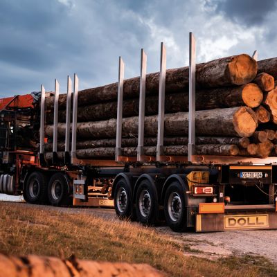 Une semi-remorque LOGO chargée de gros troncs d'arbres sur une route non goudronnée devant un ciel dramatiquement nuageux.