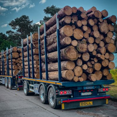 Camion bleu avec remorque à plate-forme DOLL transportant de gros troncs d'arbres sur une route de campagne ensoleillée, démontrant sa capacité de chargement et son efficacité.